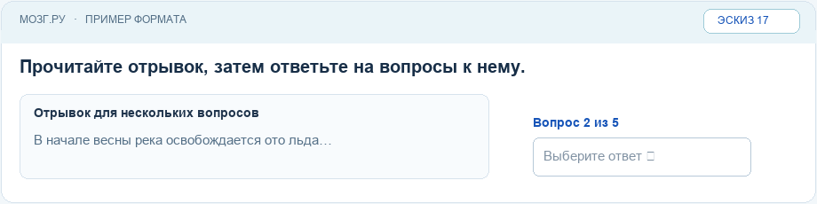 Эскиз интерфейса: Общий текст для нескольких вопросов