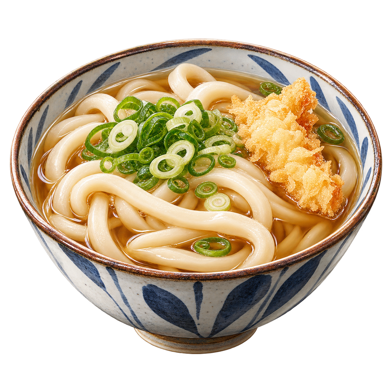 Illustration of Udon dish