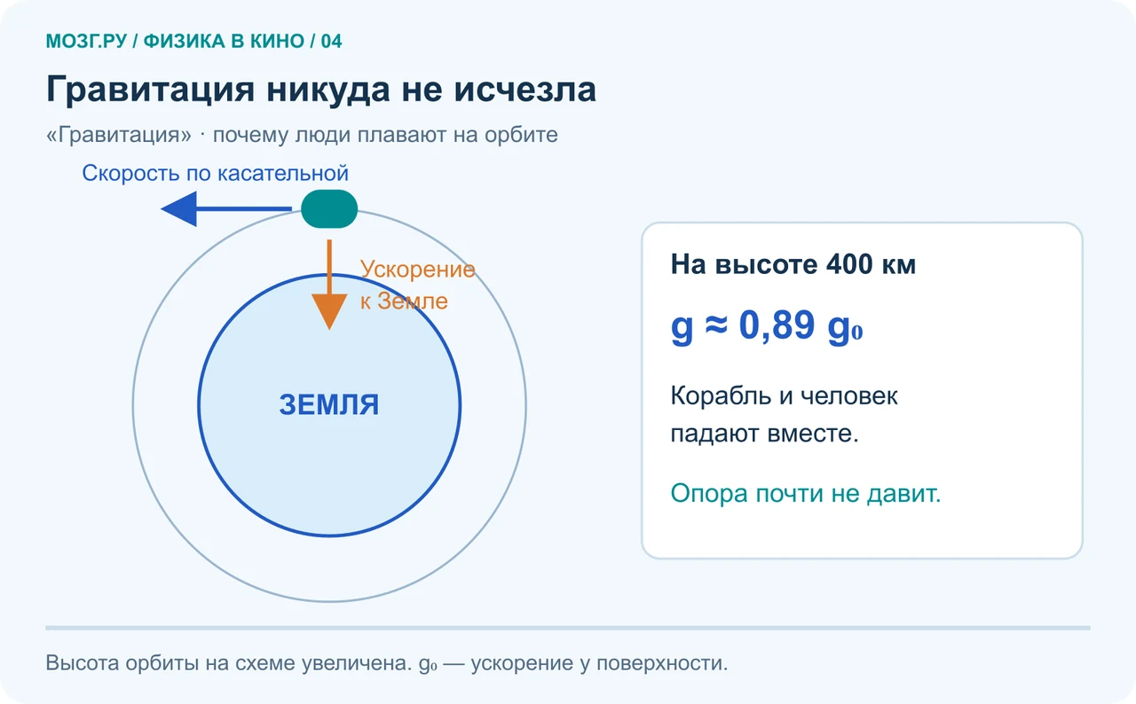 Космический аппарат движется по орбите: скорость направлена по касательной, ускорение тяжести — к центру Земли