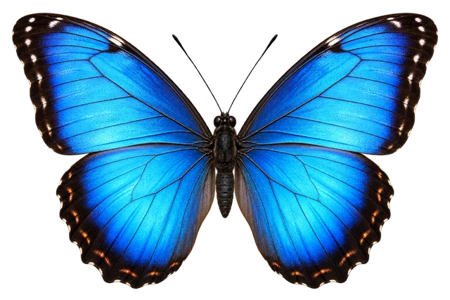 Blue glow