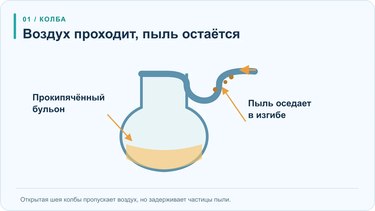 Колба Пастера после кипячения: воздух проходит через изогнутое горлышко, а пыль с микробами задерживается в изгибе